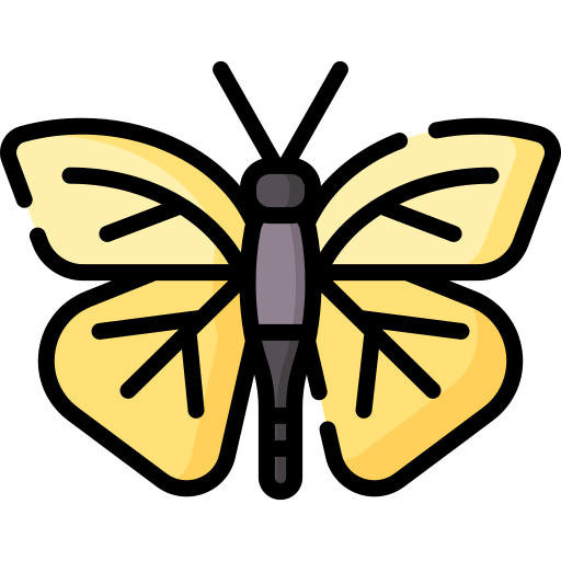 papillon Special Lineal color Icône