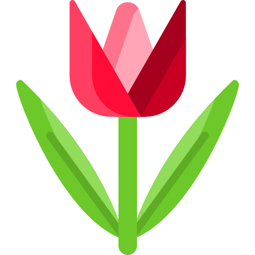 Tulip Special Flat icon