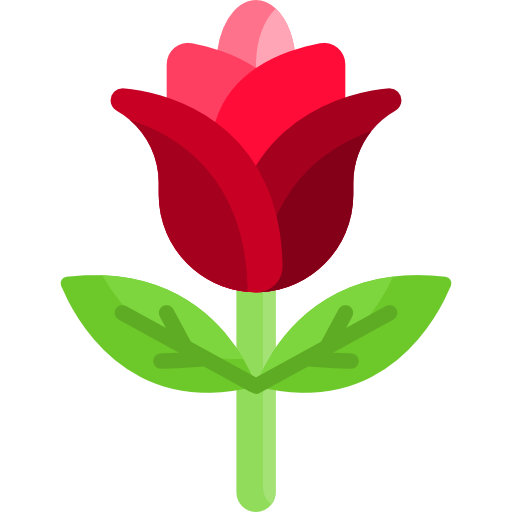 rose Special Flat Icône