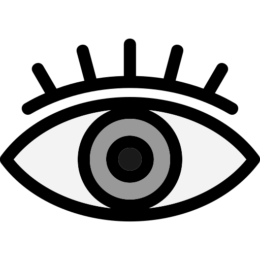 ojo Generic Outline Color icono