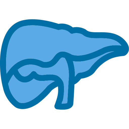 fegato Generic Blue icona