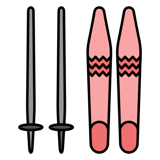 Лыжное снаряжение Generic Outline Color иконка