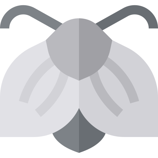 polilla Basic Straight Flat icono