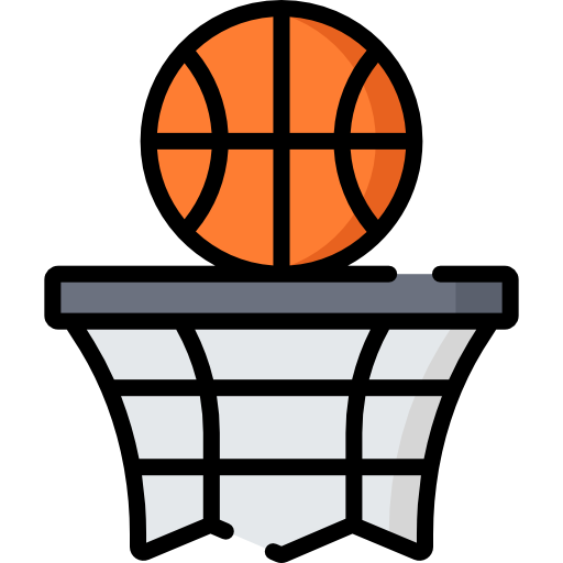pallacanestro Special Lineal color icona