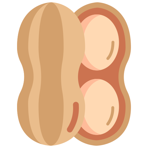 cacahuète Generic Flat Icône