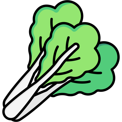 Mustard greens Generic Outline Color icon