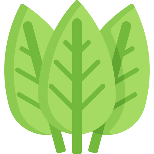 foglie di coca Special Flat icona