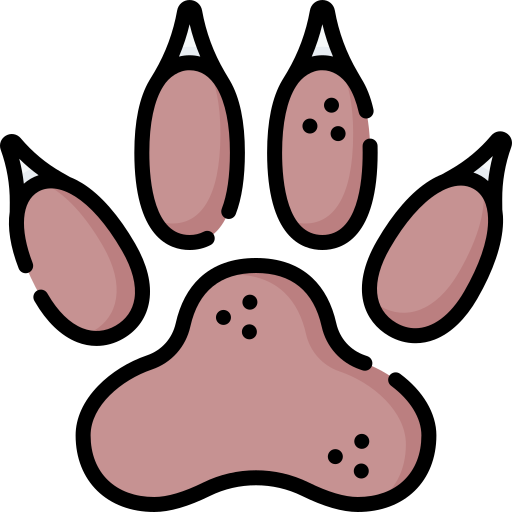 Pawprint Special Lineal color icon