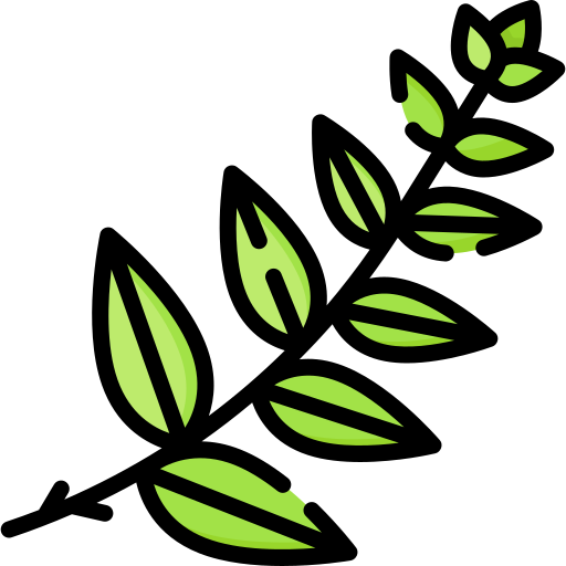 Fern Special Lineal color icon