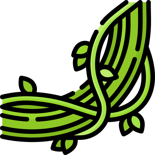 liana Special Lineal color icono