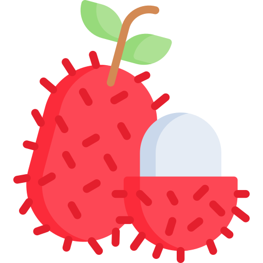 rambutan Special Flat icon