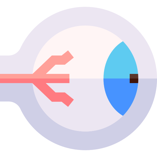 Eyeball Basic Straight Flat icon