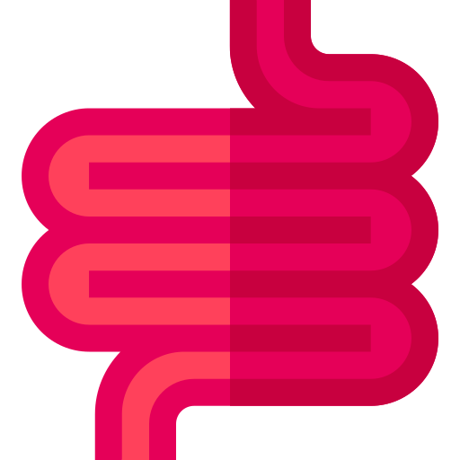 腸 Basic Straight Flat icon