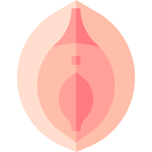 vagina Basic Straight Flat icon