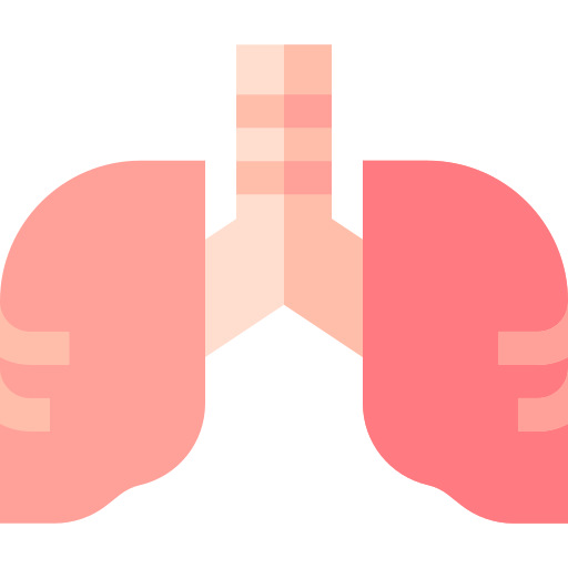 lunge Basic Straight Flat icon