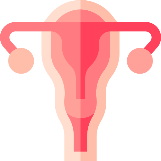 uterus Basic Straight Flat icon