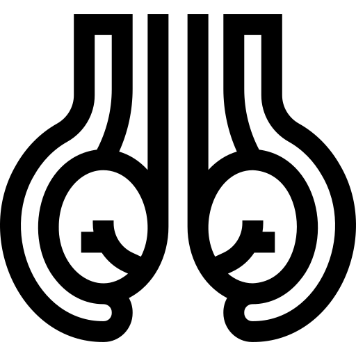 testicules Basic Straight Lineal Icône