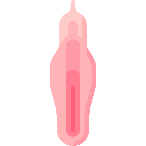vagina Special Flat icoon
