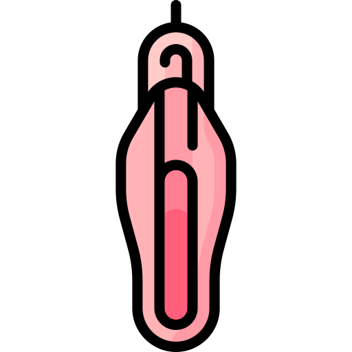vagina Special Lineal color icon