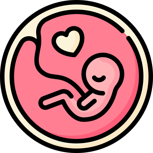 Foetus Special Lineal color icon