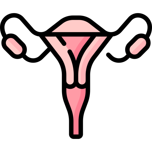 uterus Special Lineal color icon
