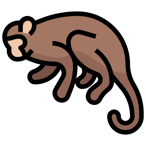 affe Generic Outline Color icon