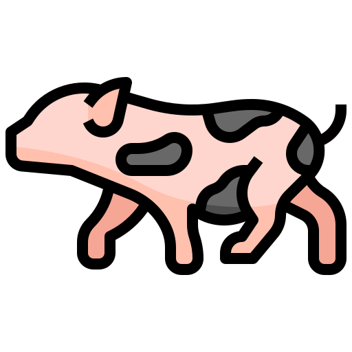 cochon Generic Outline Color Icône