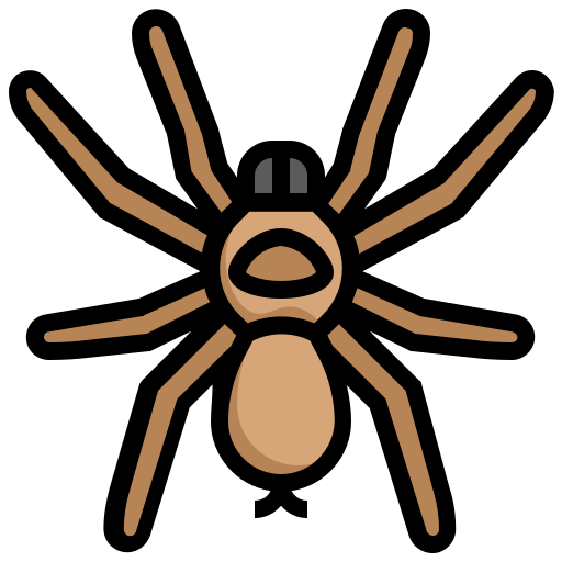 spinne Generic Outline Color icon