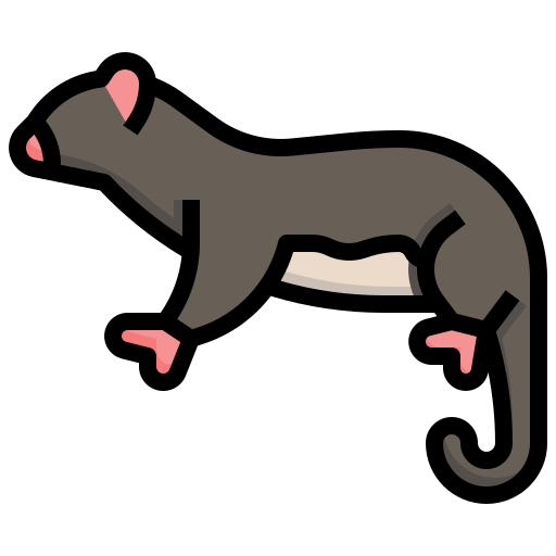 Sugar glider Generic Outline Color icon