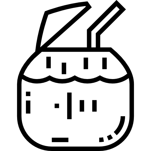 ココナッツ Detailed Straight Lineal icon