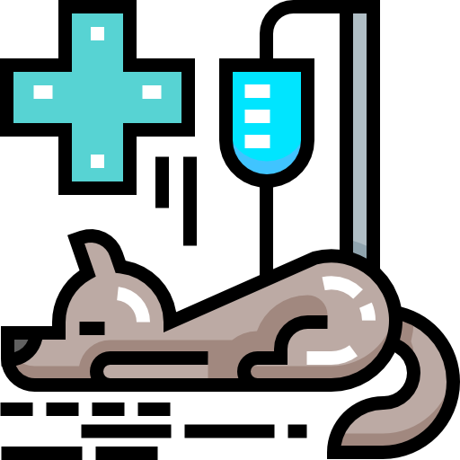 veterinär Detailed Straight Lineal color icon