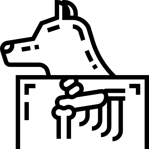 promienie x Detailed Straight Lineal ikona