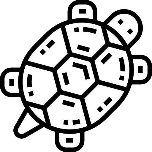 tartaruga Detailed Straight Lineal icona