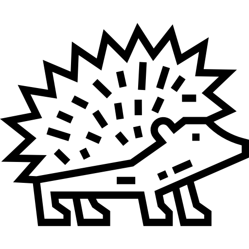 riccio Detailed Straight Lineal icona