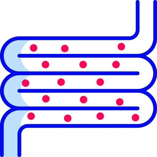 intestino Generic Outline Color icona
