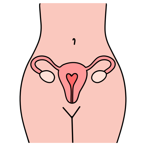 uterus Generic Thin Outline Color icon