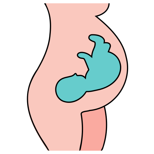 gravidanza Generic Thin Outline Color icona