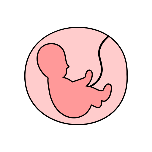Fetus Generic Thin Outline Color icon