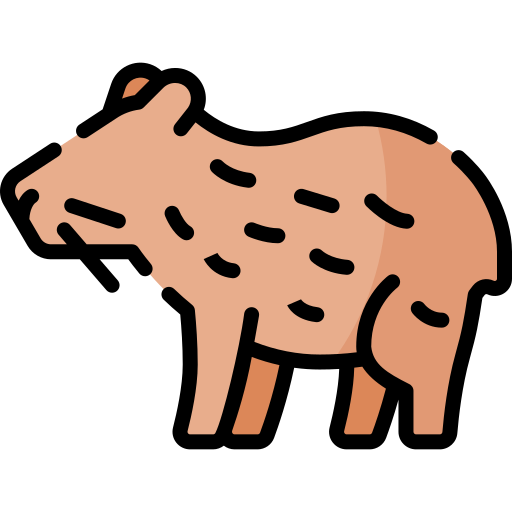 Capybara Special Lineal color icon