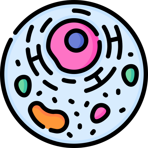 Cell Special Lineal color icon