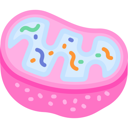 mitocondri Special Flat icona