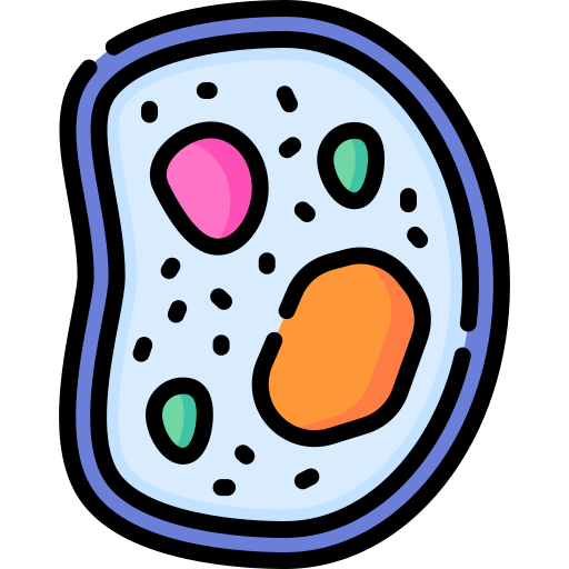 citoplasma Special Lineal color icono