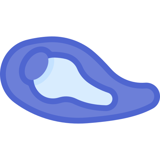 cartílago Special Flat icono