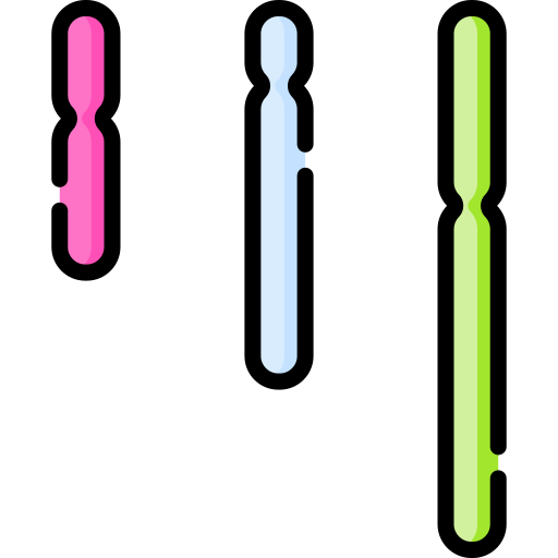 Haploid Special Lineal color icon