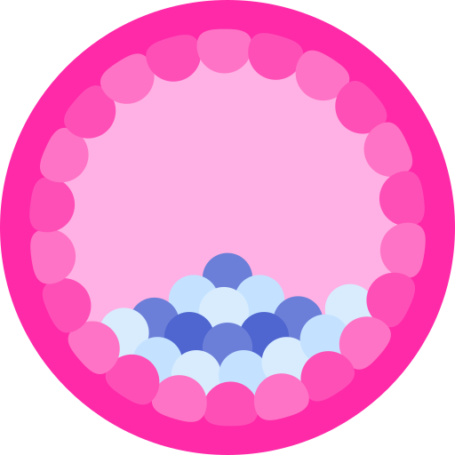 胚盤胞 Special Flat icon