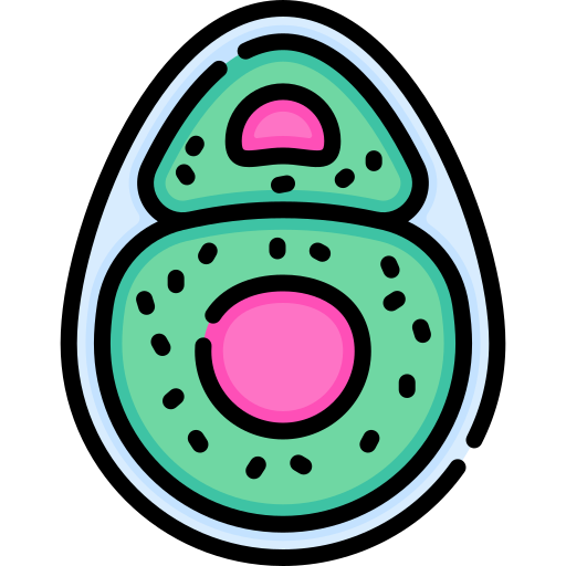 Chondrocyte Special Lineal color icon