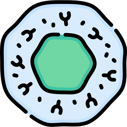 B cell Special Lineal color icon