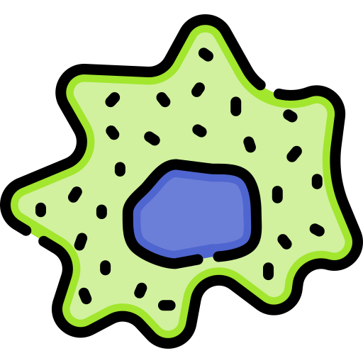 대식세포 Special Lineal color icon