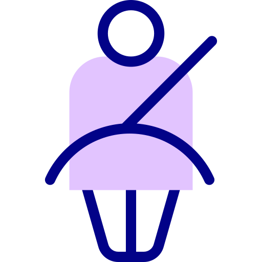 cinturón de seguridad Detailed Mixed Lineal color icono
