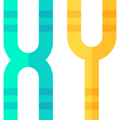 chromosomes Basic Straight Flat Icône